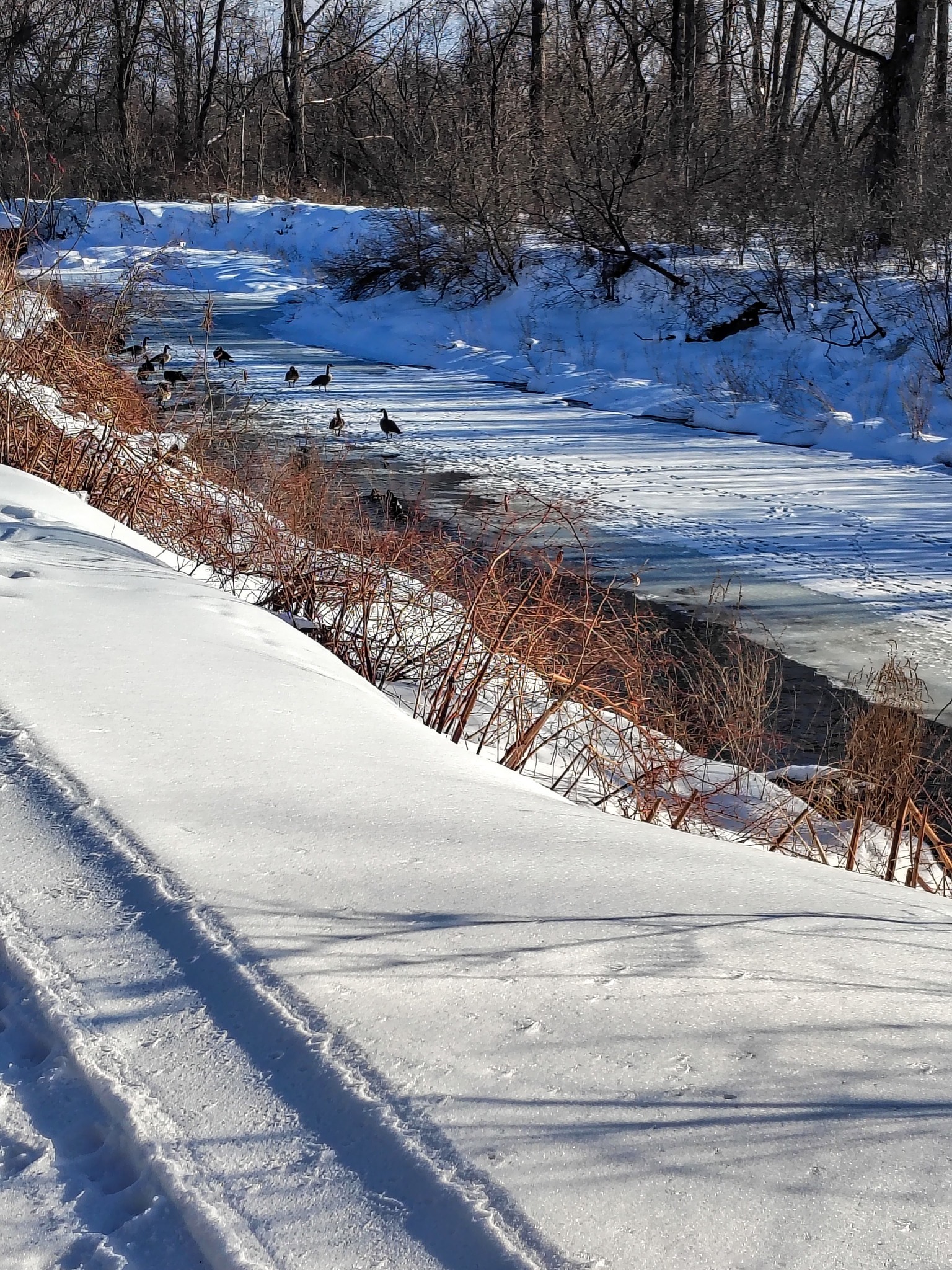 Empire State Trail 3
