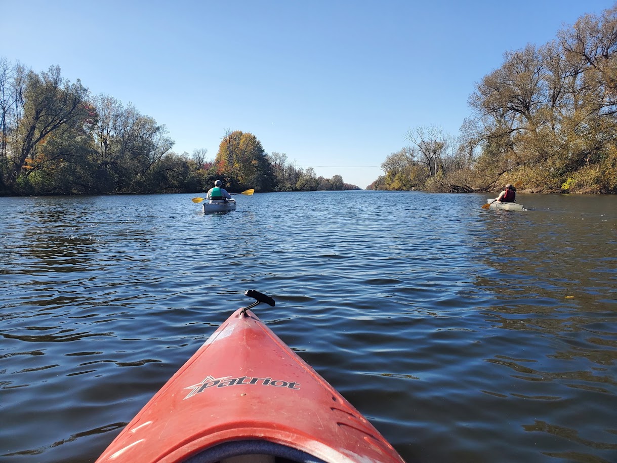 Paddle image