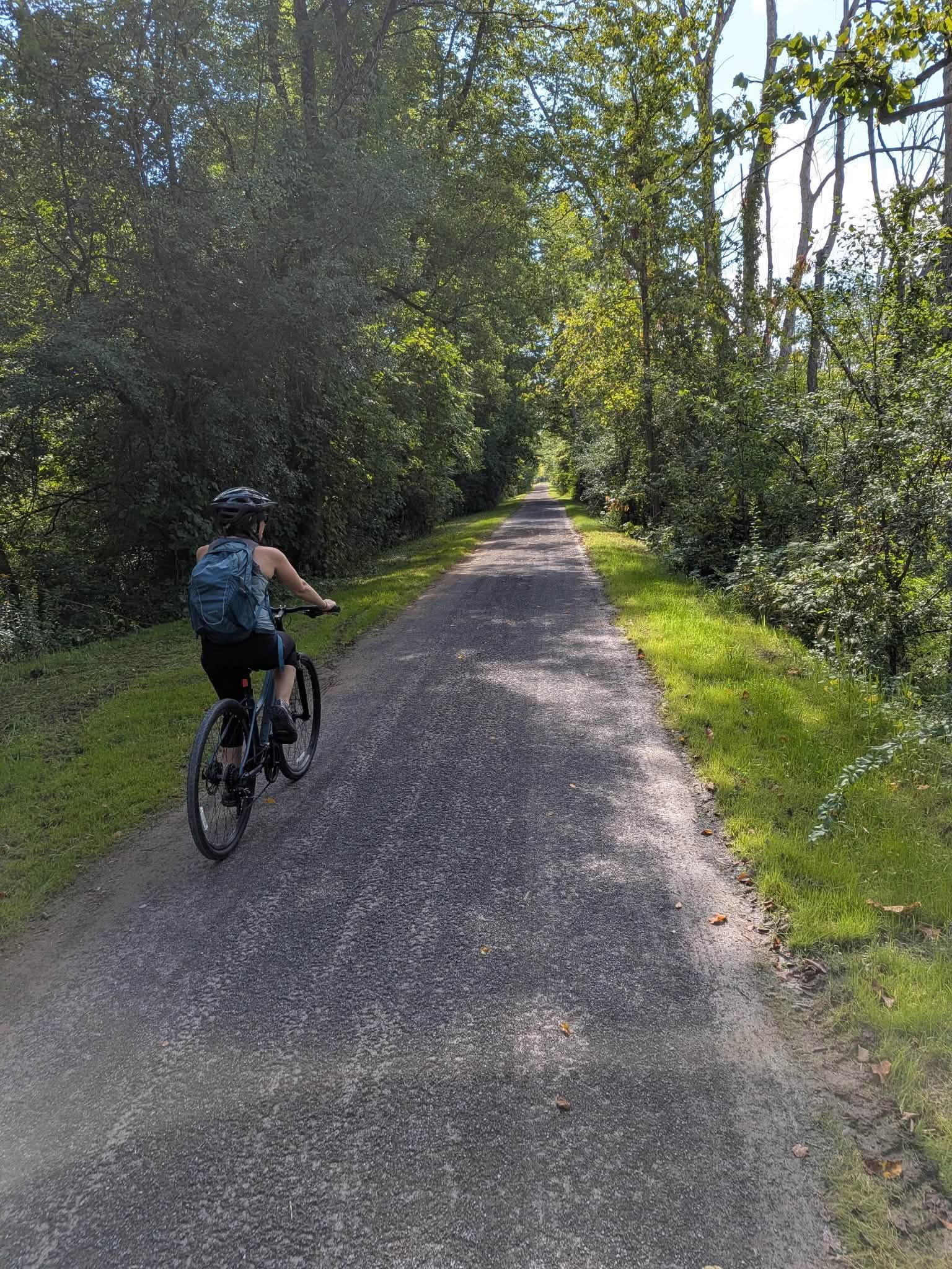 Pedal image
